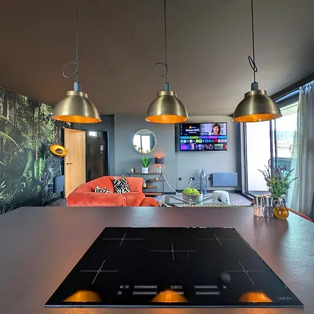 Apartment The Directors Penthouse *